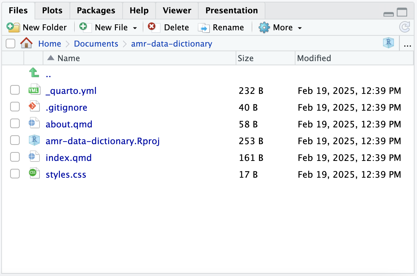 RStudio screenshot showing the current working directory in the Files tab