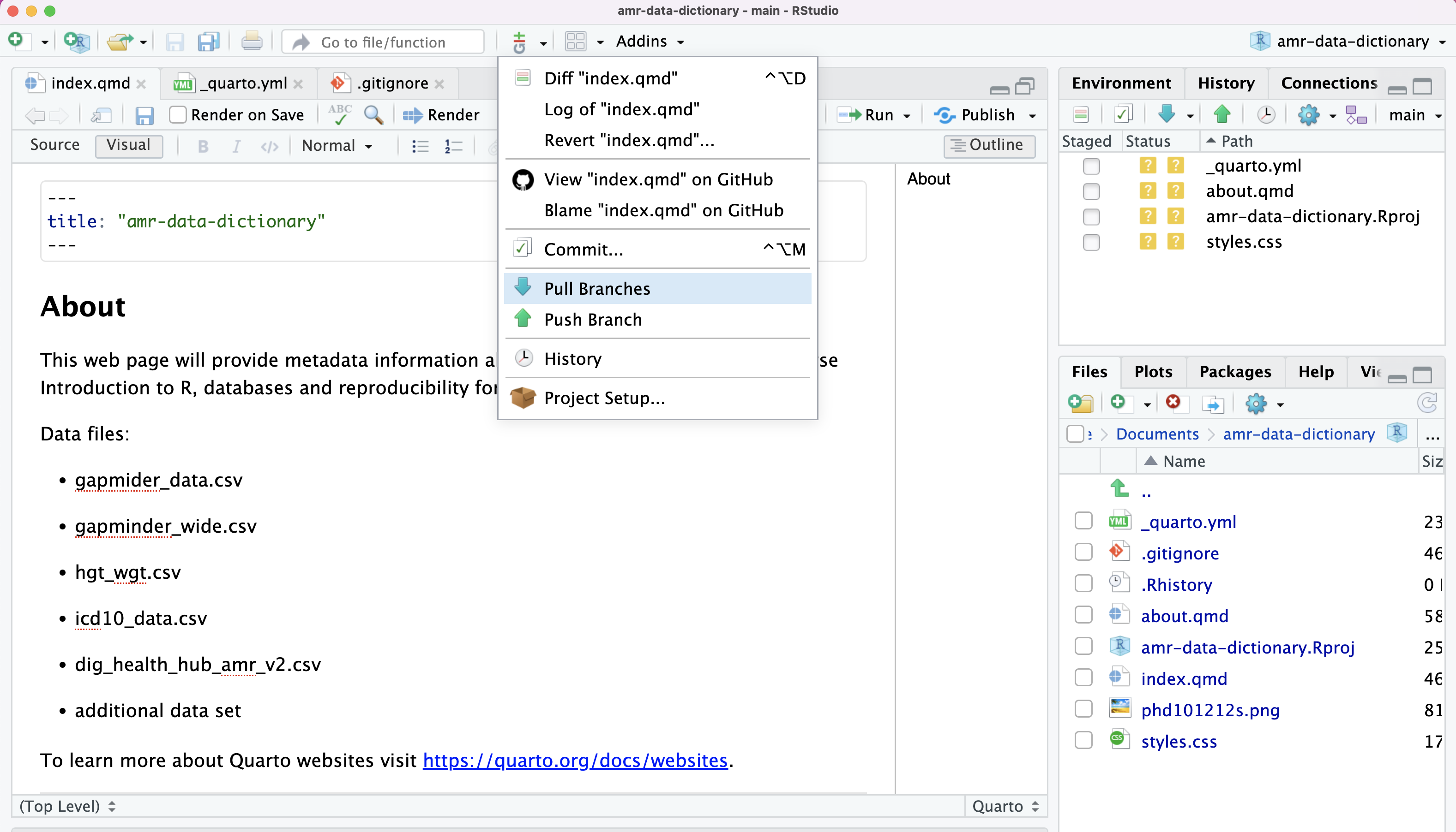 A screenshot of RStudio showing owner's file and Pull option