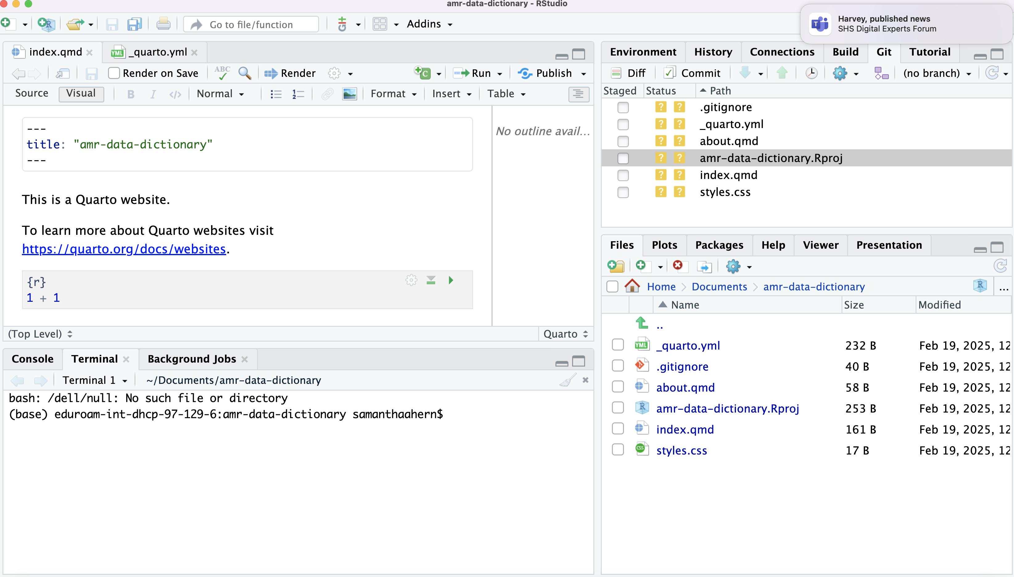 RStudio screenshot showing terminal in lower left pane