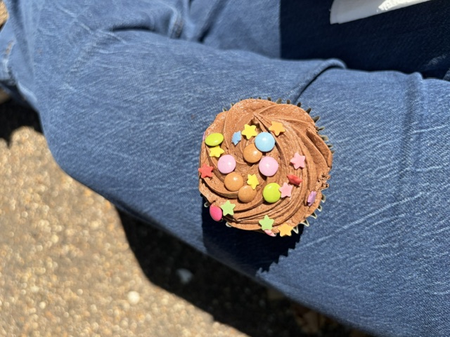 Image of chocolate cupcake with cute sprinkles.
